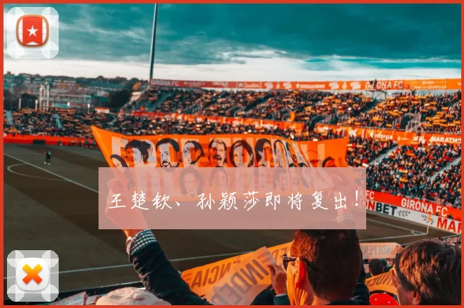 王楚钦、孙颖莎即将复出！