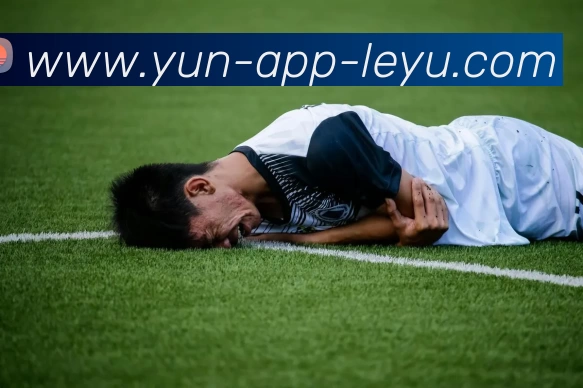 乐鱼官网APP 封面图